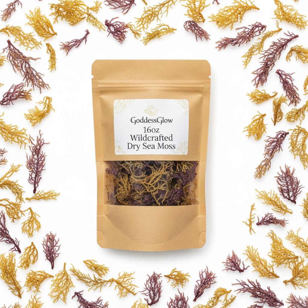 GoddessGlow Wildcrafted Dry Sea Moss 16oz